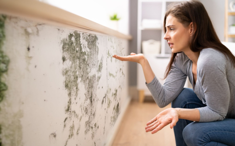 die Ursachen für schlechte Gerüche